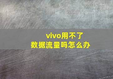 vivo用不了数据流量吗怎么办