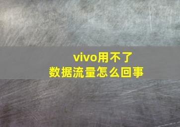 vivo用不了数据流量怎么回事