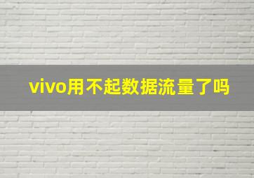 vivo用不起数据流量了吗