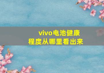 vivo电池健康程度从哪里看出来