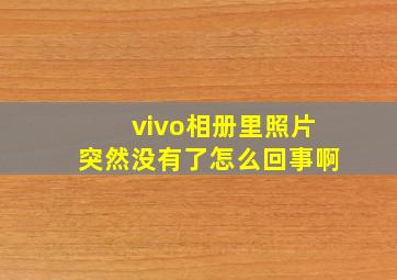 vivo相册里照片突然没有了怎么回事啊