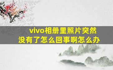 vivo相册里照片突然没有了怎么回事啊怎么办