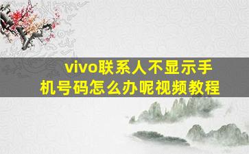 vivo联系人不显示手机号码怎么办呢视频教程