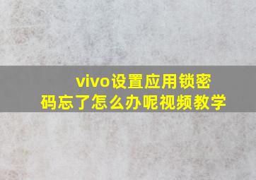 vivo设置应用锁密码忘了怎么办呢视频教学