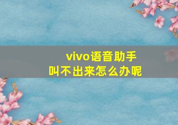 vivo语音助手叫不出来怎么办呢