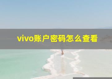 vivo账户密码怎么查看