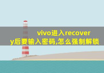 vivo进入recovery后要输入密码,怎么强制解锁