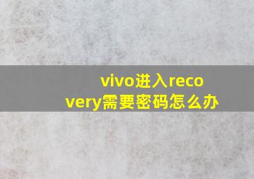 vivo进入recovery需要密码怎么办