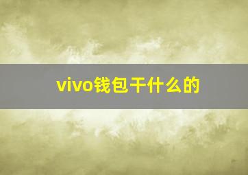 vivo钱包干什么的