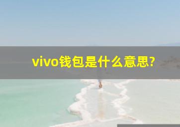 vivo钱包是什么意思?