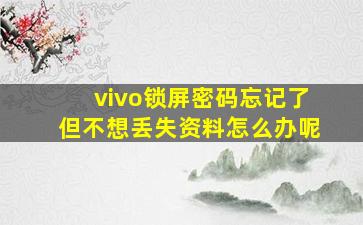 vivo锁屏密码忘记了但不想丢失资料怎么办呢