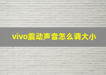 vivo震动声音怎么调大小