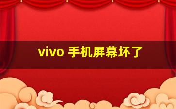 vivo 手机屏幕坏了