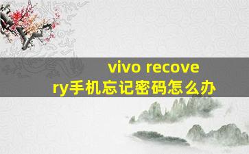 vivo recovery手机忘记密码怎么办