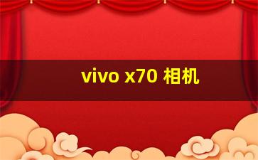 vivo x70 相机