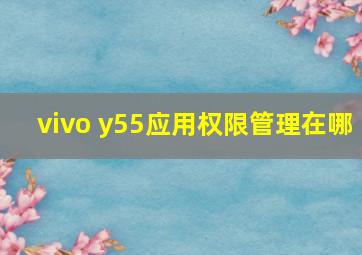 vivo y55应用权限管理在哪