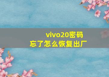 vivo20密码忘了怎么恢复出厂