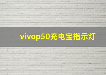 vivop50充电宝指示灯