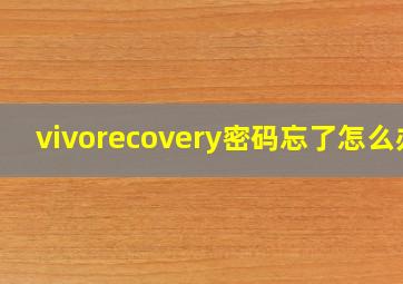 vivorecovery密码忘了怎么办