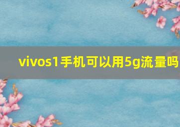 vivos1手机可以用5g流量吗