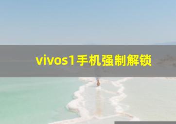 vivos1手机强制解锁