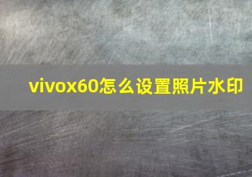 vivox60怎么设置照片水印