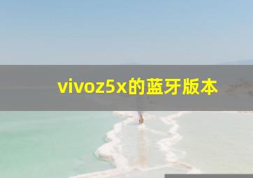 vivoz5x的蓝牙版本