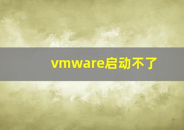 vmware启动不了