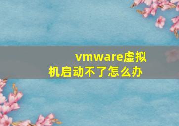 vmware虚拟机启动不了怎么办