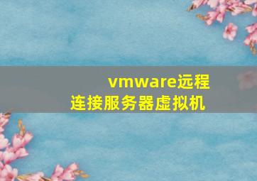 vmware远程连接服务器虚拟机