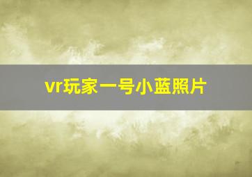 vr玩家一号小蓝照片