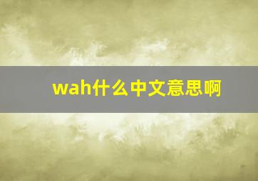 wah什么中文意思啊