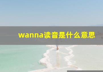 wanna读音是什么意思