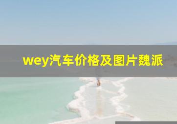 wey汽车价格及图片魏派