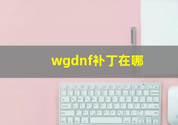 wgdnf补丁在哪