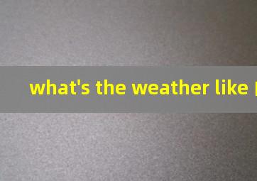 what's the weather like 的like