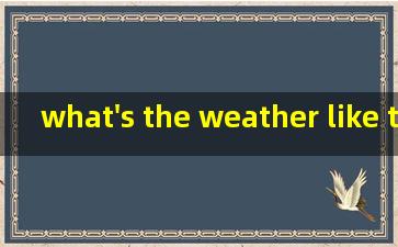 what's the weather like today等于什么