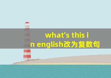 what's this in english改为复数句