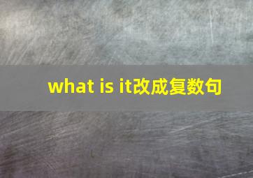 what is it改成复数句