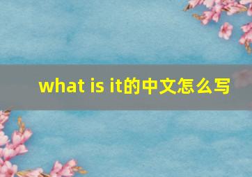 what is it的中文怎么写