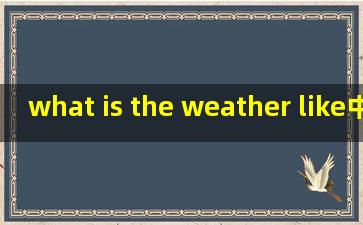 what is the weather like中的like