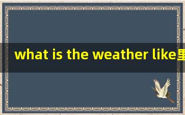 what is the weather like里的like