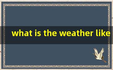 what is the weather like 的like