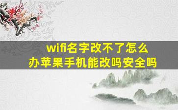 wifi名字改不了怎么办苹果手机能改吗安全吗