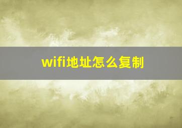 wifi地址怎么复制