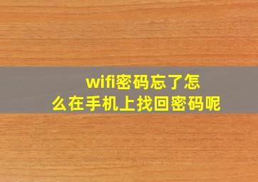 wifi密码忘了怎么在手机上找回密码呢