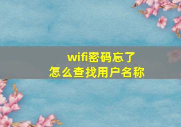 wifi密码忘了怎么查找用户名称