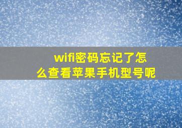 wifi密码忘记了怎么查看苹果手机型号呢