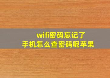 wifi密码忘记了手机怎么查密码呢苹果