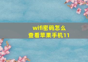 wifi密码怎么查看苹果手机11